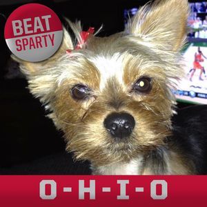 Meet your Posher, Cathy